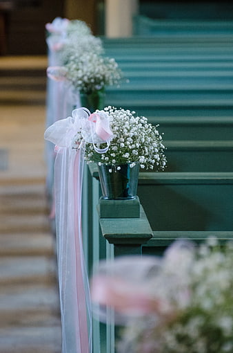 Baby's Breath Flowers in Church Pews with Pink Ribbons