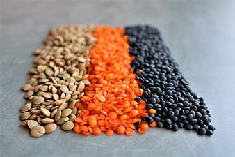Three varieties of raw lentils arranged in color blocks