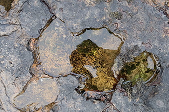 Top view of rocky tide pool with seaweed and water