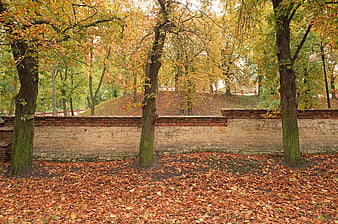 Autumn park scene with brick wall and fallen leaves