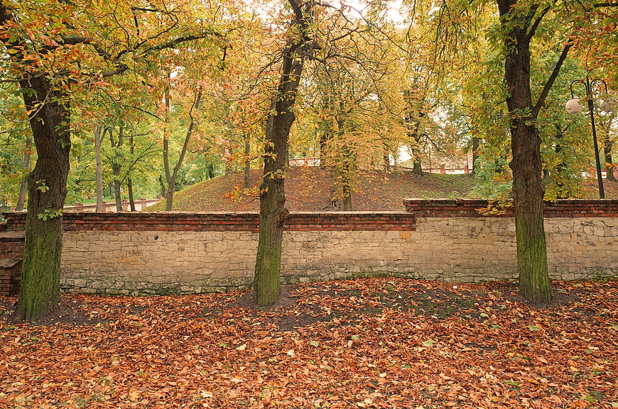 Autumn park scene with brick wall and fallen leaves
