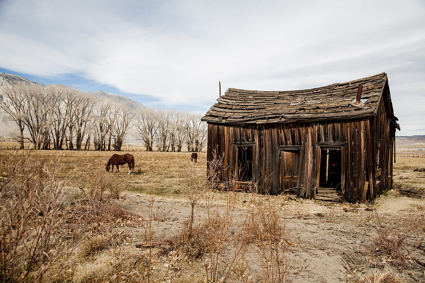 Dilapidated wooden barn in a dry pasture with grazing horses