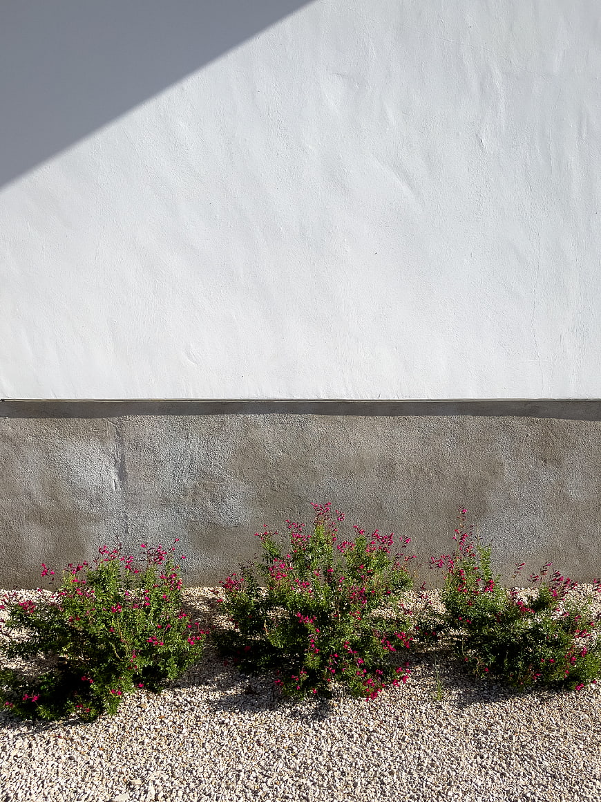 Minimalist white wall with pink flowers and gravel