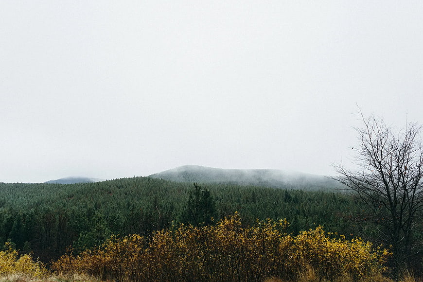 Misty Mountain Landscape with Autumn Forest and Fog