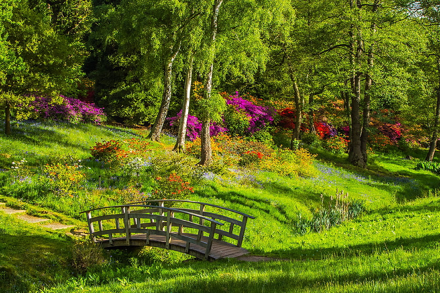 Lush Green Garden with Wooden Bridge and Colorful Flowers