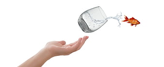 Woman's hand reaching for glass with goldfish, comfort zone concept