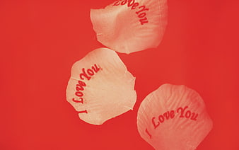 Pink petals with I Love You text on red background