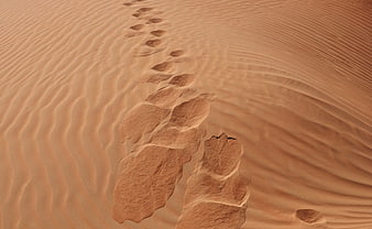 Footprints in rippled desert sand dunes