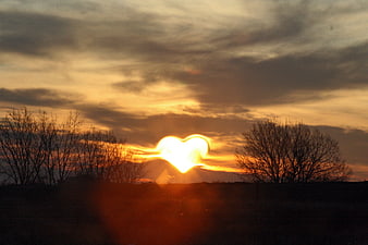 Heart-shaped sunset silhouette with bare trees in landscape