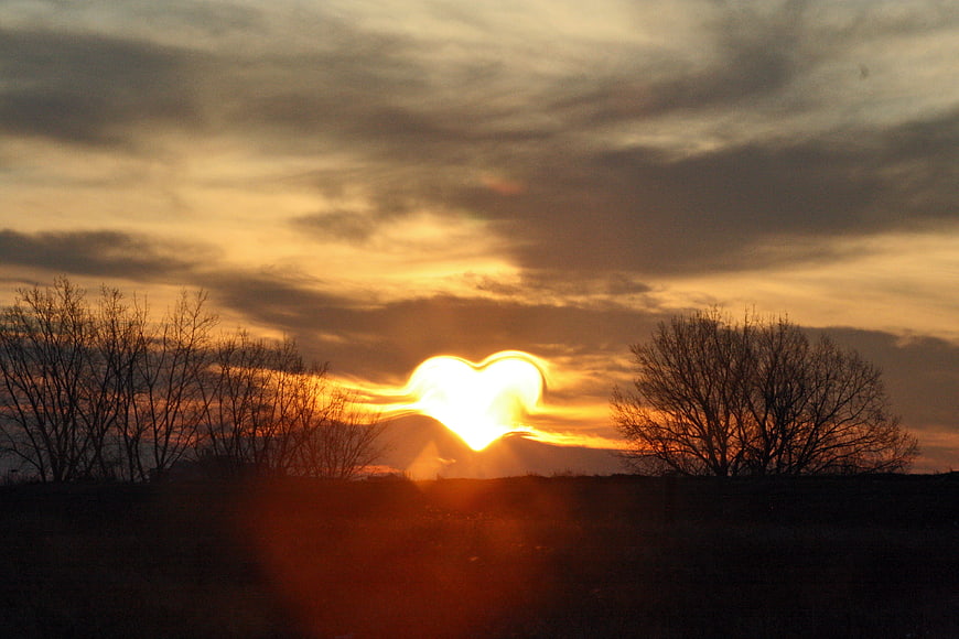 Heart-shaped sunset silhouette with bare trees in landscape