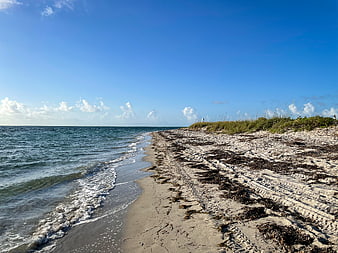 Sandy Beach Shoreline with Ocean Waves and Blue Sky