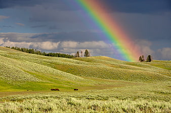 Vibrant Rainbow Over Rolling Green Hills and Sagebrush Landscape