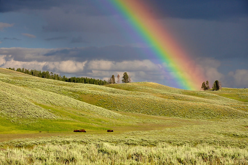 Vibrant Rainbow Over Rolling Green Hills and Sagebrush Landscape