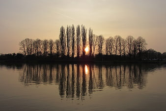 Silhouetted Trees Reflecting in River at Sunset