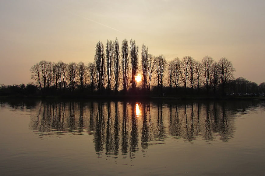 Silhouetted Trees Reflecting in River at Sunset