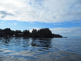 Serene Lake View with Forested Shoreline and Blue Sky