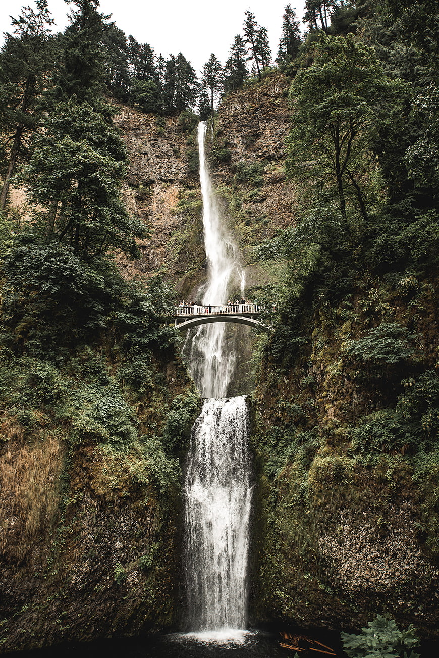 Tall waterfall cascading behind a bridge in a lush forest