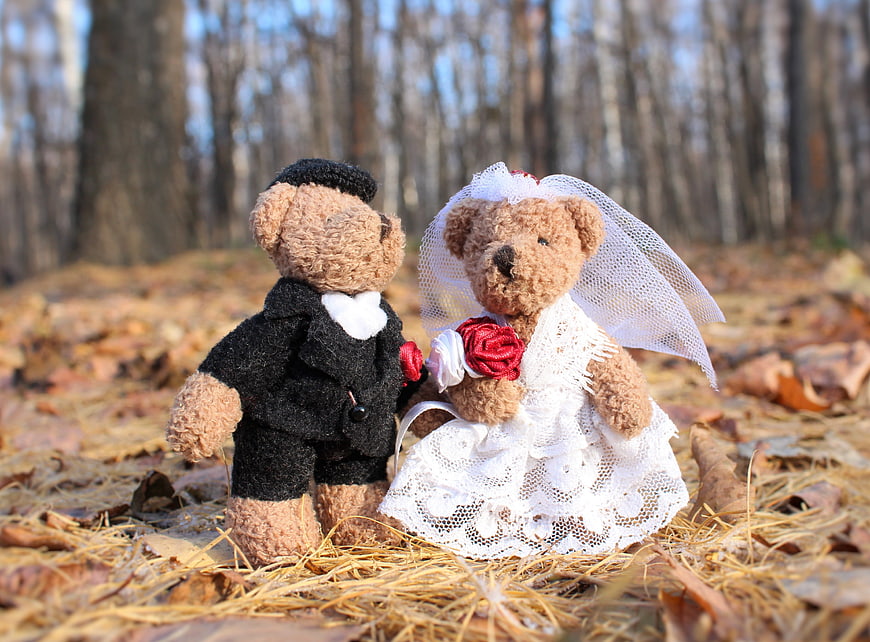 Cute Teddy Bear Wedding Couple in Autumn Forest