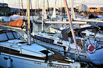 Sailboats docked in harbor at sunrise with city background