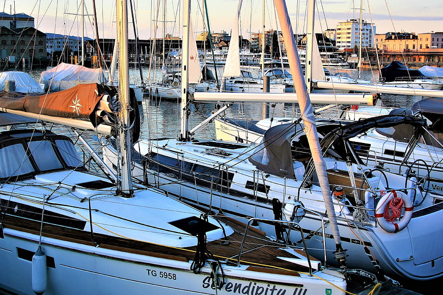 Sailboats docked in harbor at sunrise with city background