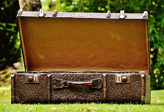 Vintage Leather Suitcase Open on Green Grass