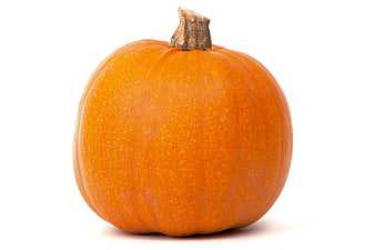 Fresh Orange Pumpkin Isolated on White Background