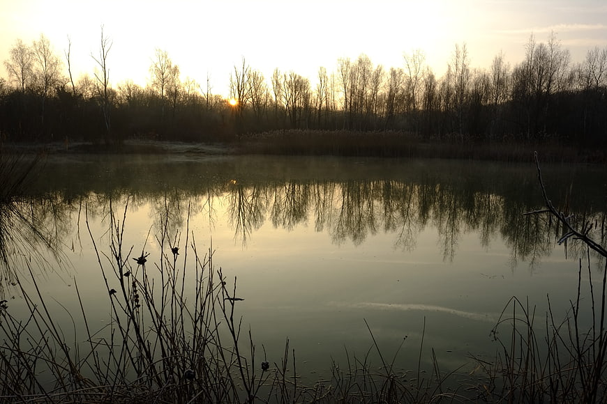 Serene lake landscape with misty sunrise and tree reflections