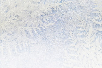 Frosty Window Texture with Snowflake Patterns and Blue Tint