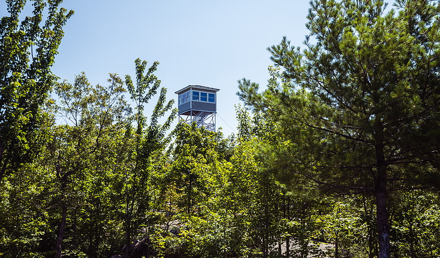 Fire lookout tower rising above green forest canopy