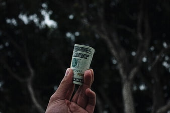 Hand holding rolled twenty dollar bill against dark trees