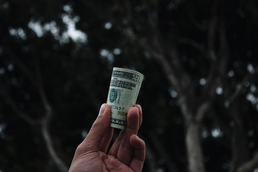Hand holding rolled twenty dollar bill against dark trees