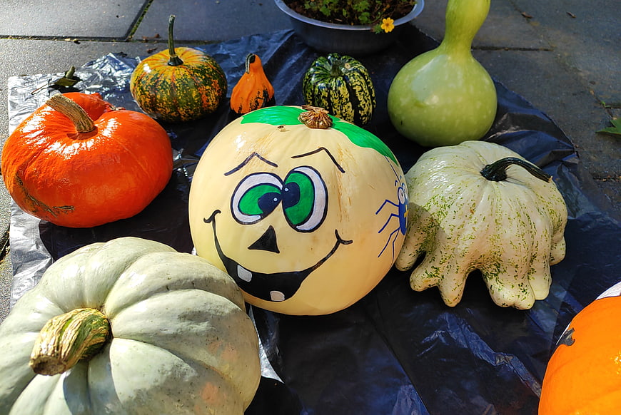 Painted Halloween pumpkin with cartoon face and gourd collection