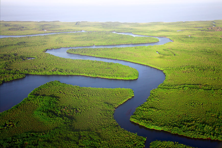 Aerial View of Winding River Through Lush Mangrove Forest