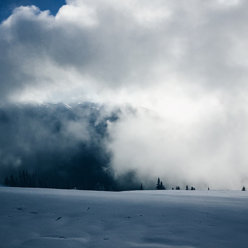 Misty Snowy Mountain Landscape with Pine Trees