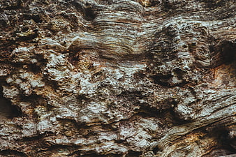 Close-up Texture of Weathered Rock Surface