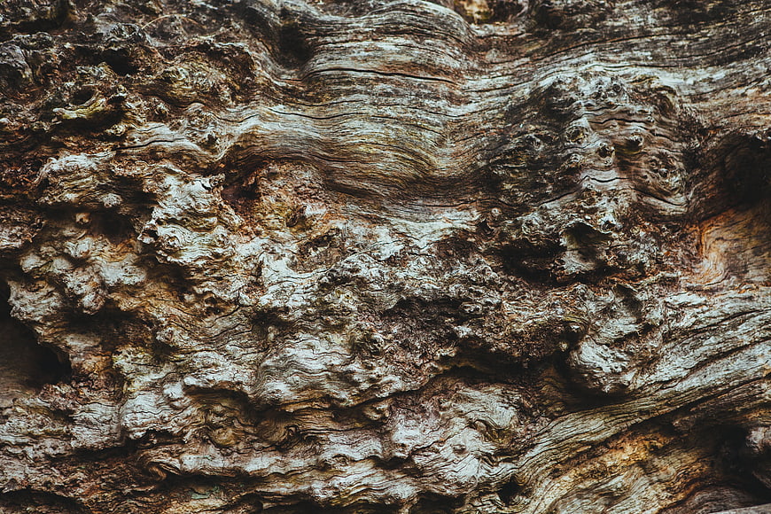 Close-up Texture of Weathered Rock Surface