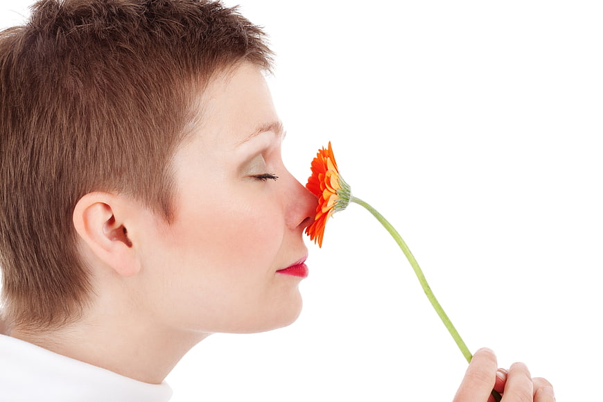Woman smelling orange gerbera flower on white background