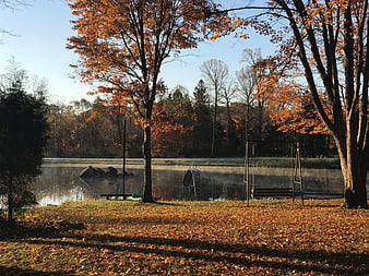 Serene Autumn Morning by Misty Pond with Swing