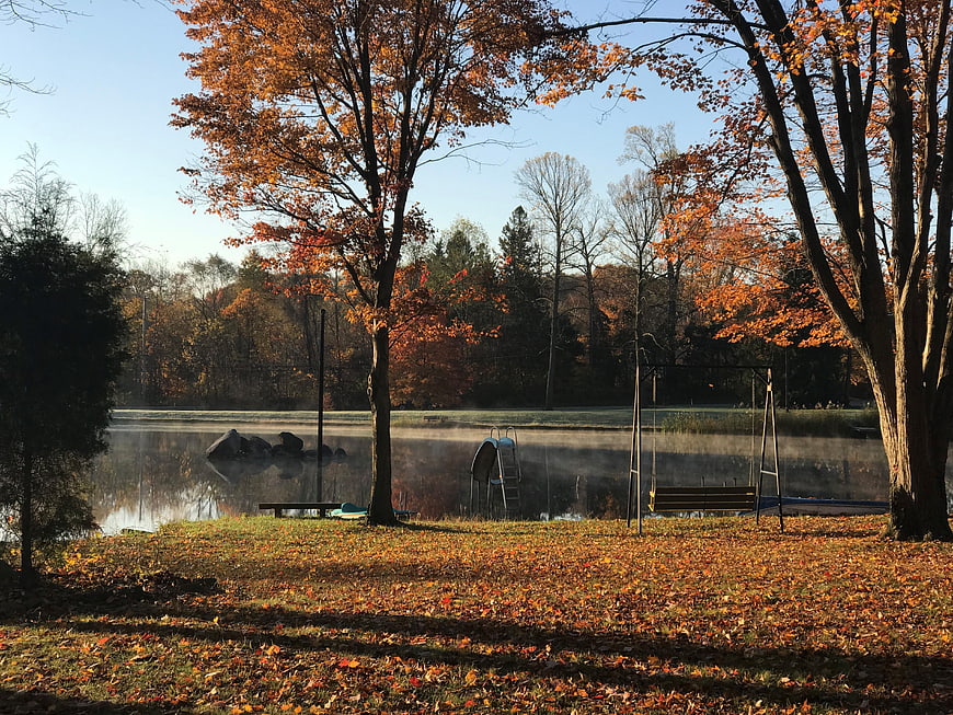 Serene Autumn Morning by Misty Pond with Swing