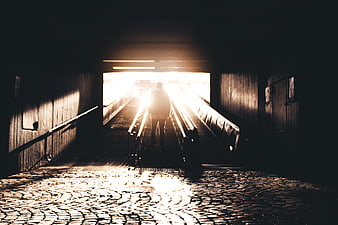 Silhouette of Man Walking Up Escalator Towards Bright Light