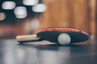 Ping Pong Paddle and Ball on Table