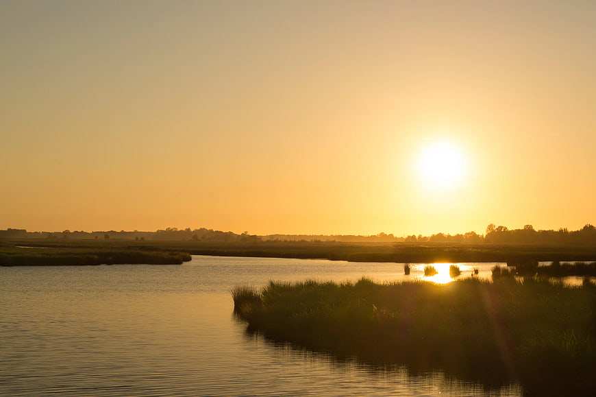 Golden Sunset Over Calm River with Reeds