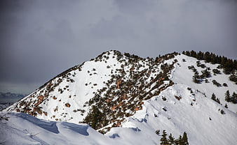 Snow-covered mountain ridge with pine trees and dramatic sky