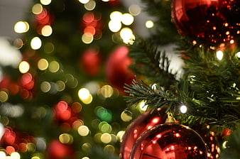 Close-up of red Christmas ornaments on a tree with bokeh lights
