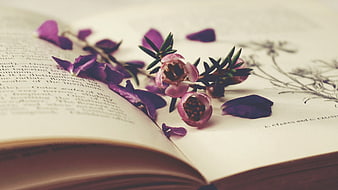 Purple flowers on open vintage book pages