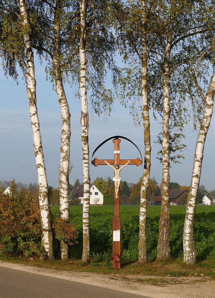 Wooden Wayside Cross Among Birch Trees in Rural Landscape
