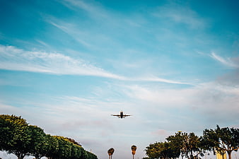 Airplane Landing Over Trees Against Blue Sky