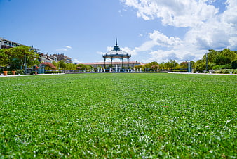 Low angle view of green lawn in park with bandstand