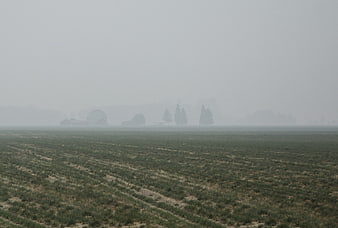 Foggy agricultural field with distant farm buildings