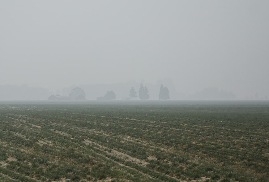 Foggy agricultural field with distant farm buildings